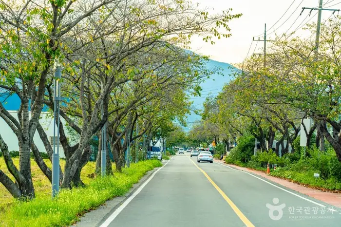하동명품배거리 · 관광지