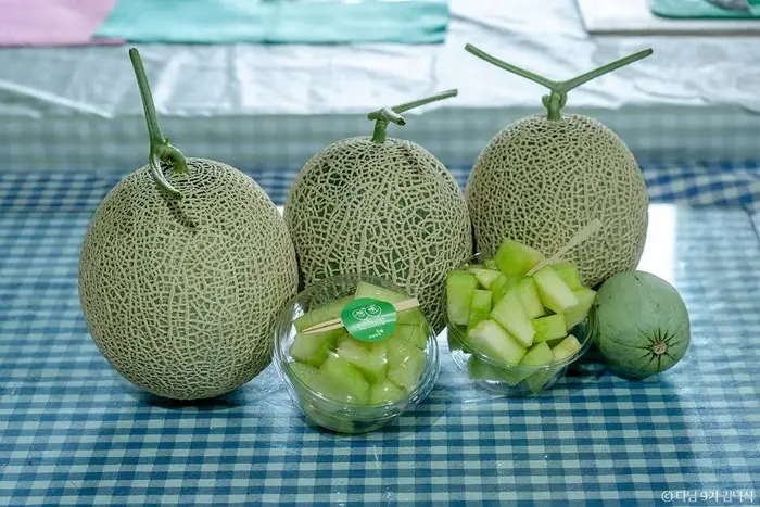 야미야미팜(야미야미팜농업회사법인(주)) · 관광지