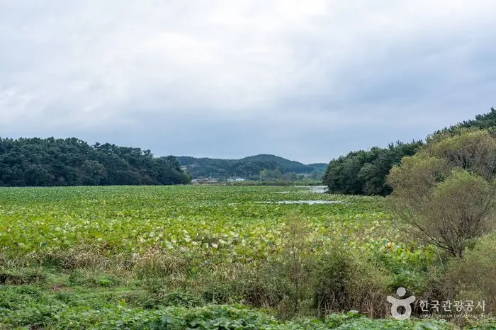 충남 서산빛들마을 · 관광지