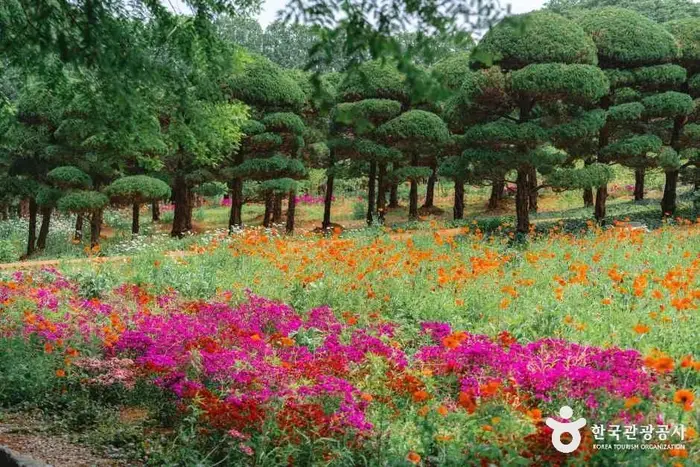 아가페정원 · 관광지