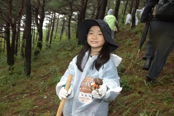 양양송이연어축제 포스터 사진 3