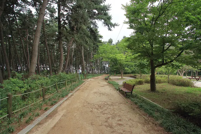 솔바람캠핑장 · 레포츠