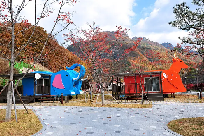 청량산캠핑장 · 레포츠
