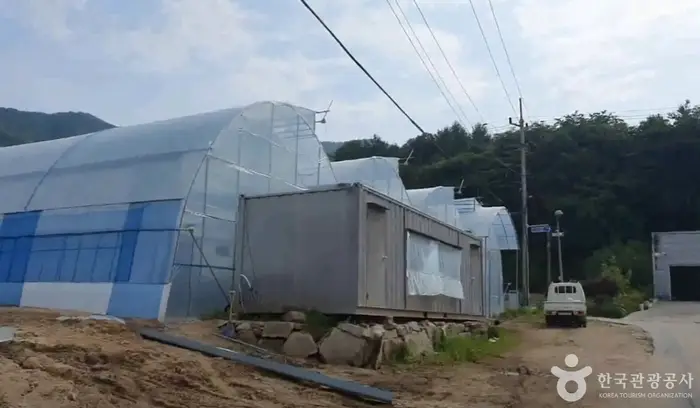 큰삼촌농촌체험 · 관광지