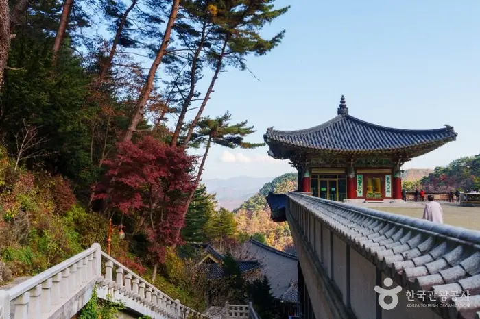 구인사(단양) · 관광지