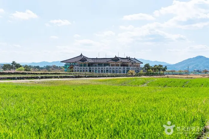 분황사 청보리밭 · 관광지