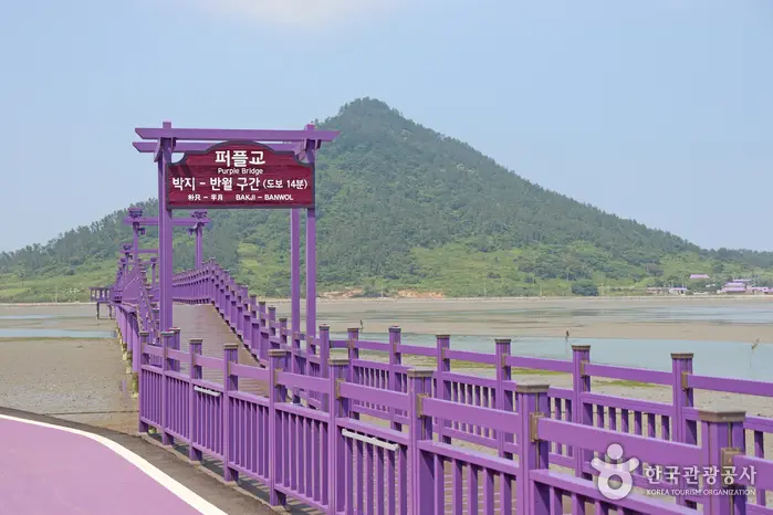 퍼플교 · 관광지