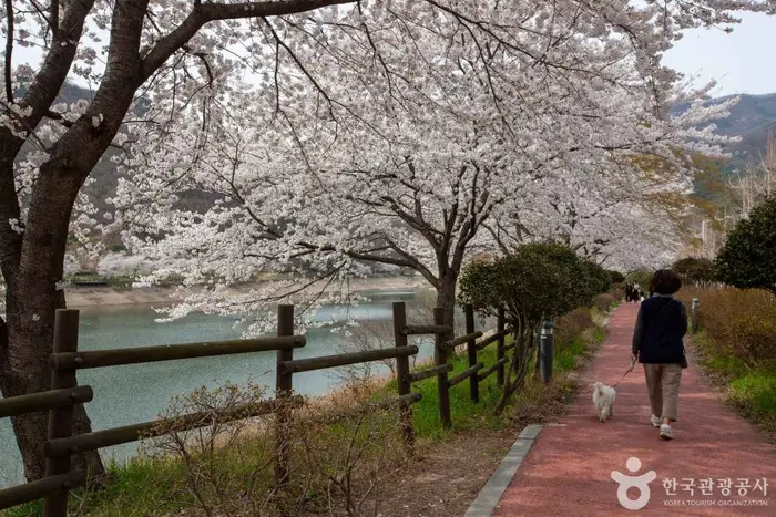 동구리호수공원 · 관광지