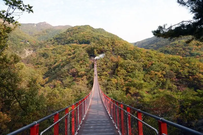감악산 출렁다리 · 관광지
