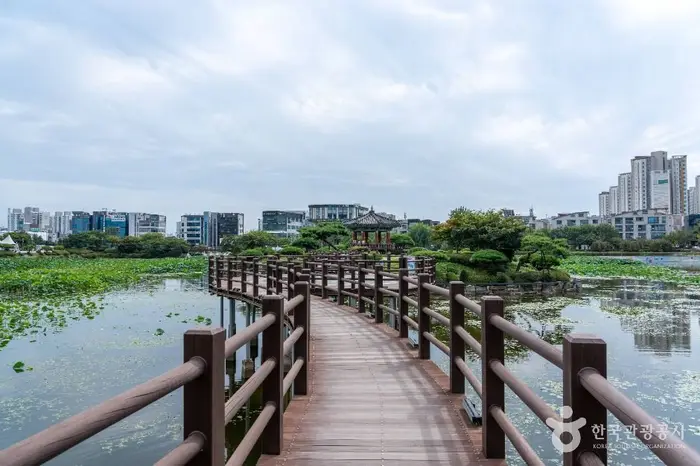 중앙호수공원(서산) · 관광지