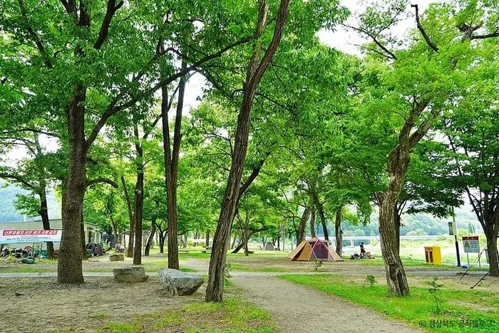 고령 신촌숲 · 관광지