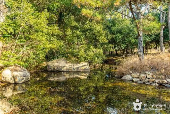 고산 윤선도 문학체험공원 · 문화시설