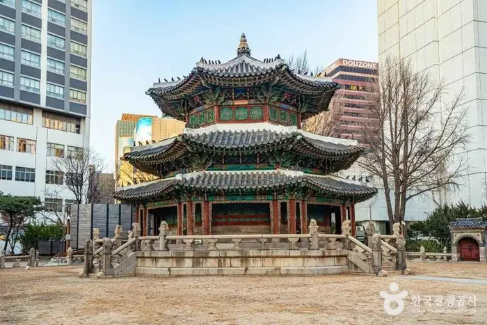환구단 · 관광지