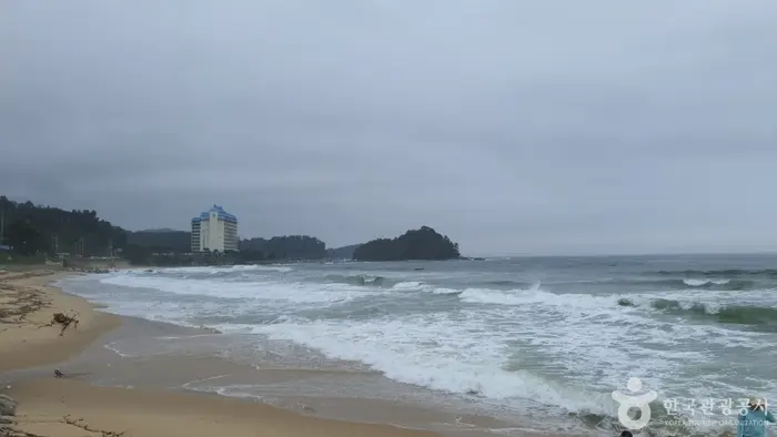 대진1리해변 · 관광지