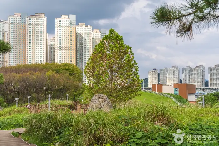 지산체육공원 · 관광지