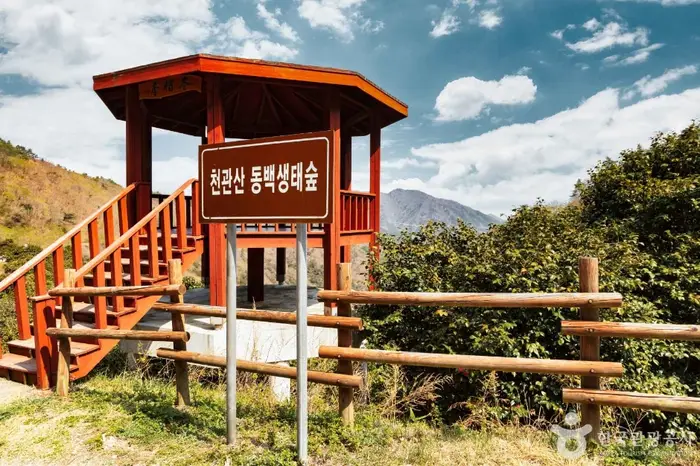 천관산동백생태숲 · 관광지