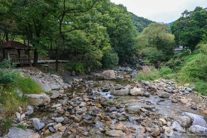 사나사 계곡 · 관광지