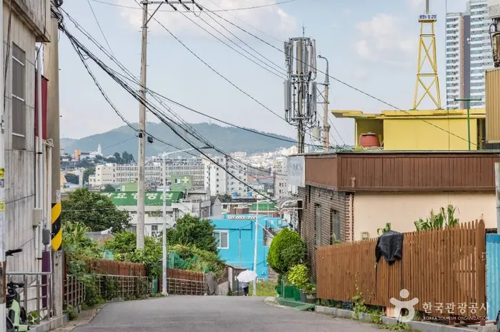 옥단이길 · 관광지