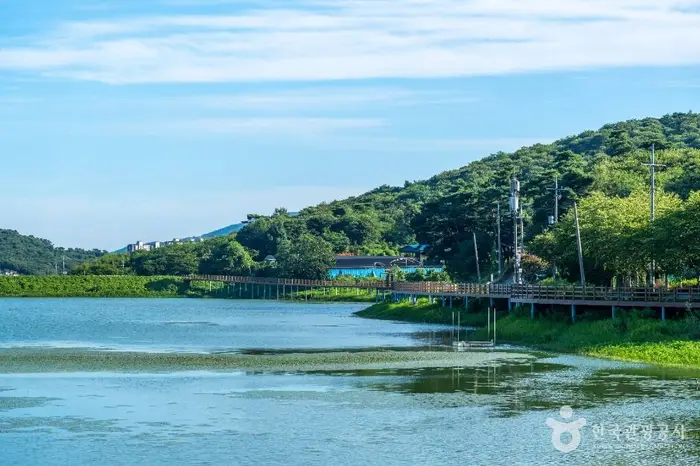 풍전 저수지 · 레포츠
