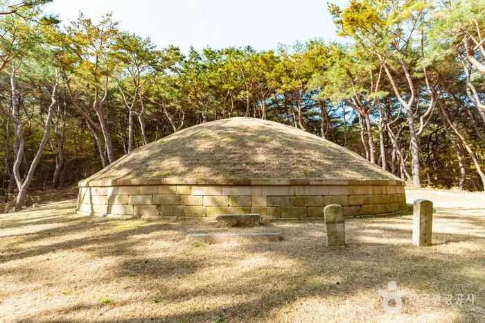 경주 정강왕릉 · 관광지
