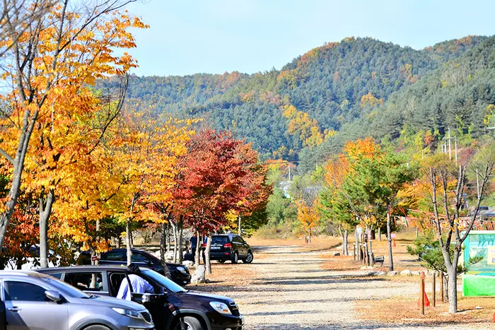 은빛물결캠핑장 · 레포츠