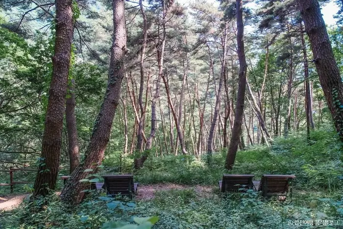 오도산자연휴양림 · 관광지