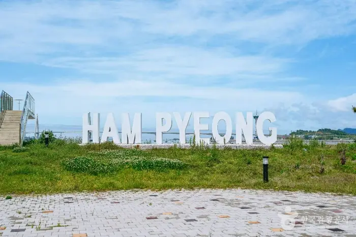 함평항 · 관광지