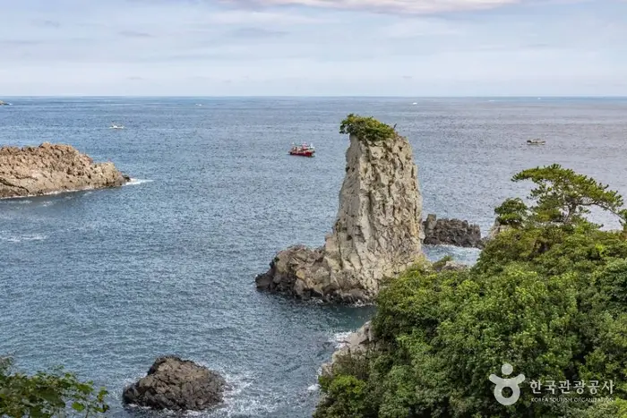 외돌개(제주) · 관광지