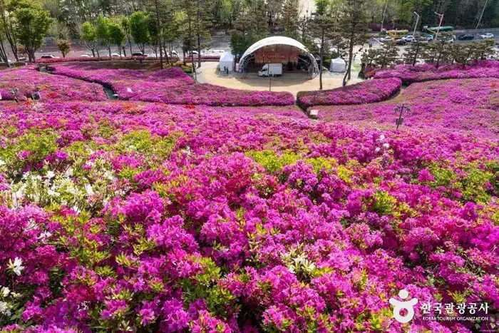 철쭉동산 · 관광지