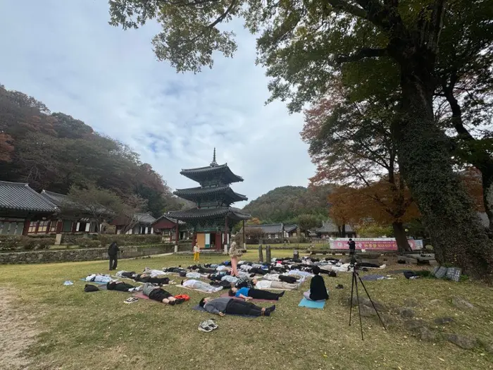 화순운주문화축제 포스터 사진 5