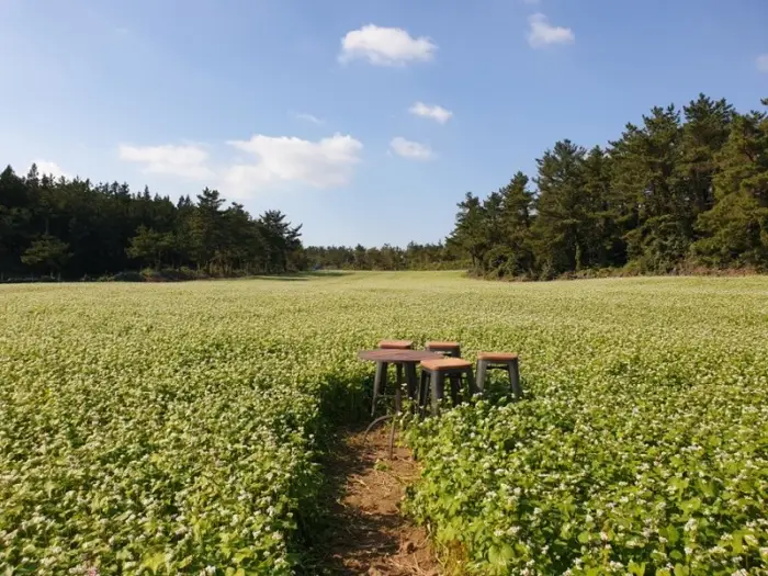 한라산아래첫마을 영농조합법인 · 음식점