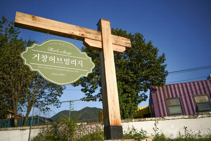 거창허브빌리지 · 음식점