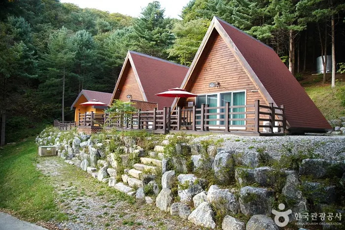 치악산자연휴양림 · 관광지