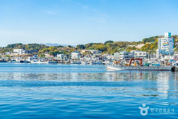 죽변항 · 관광지