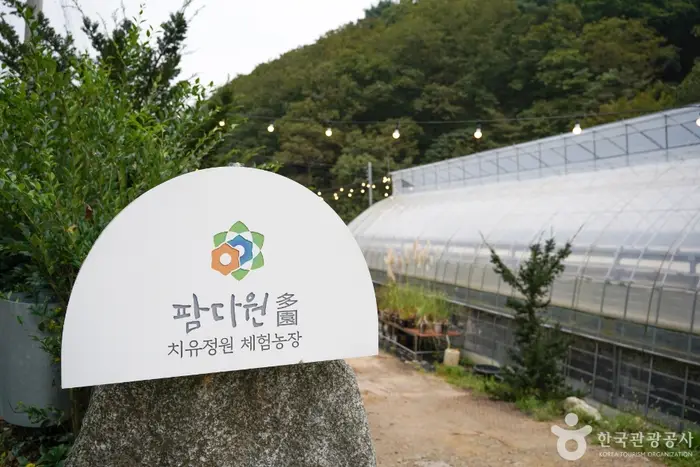 팜다원 · 관광지