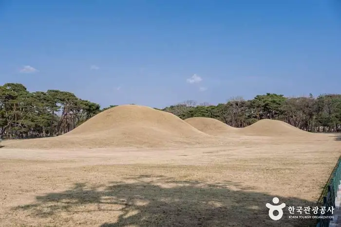 경주 오릉 · 관광지