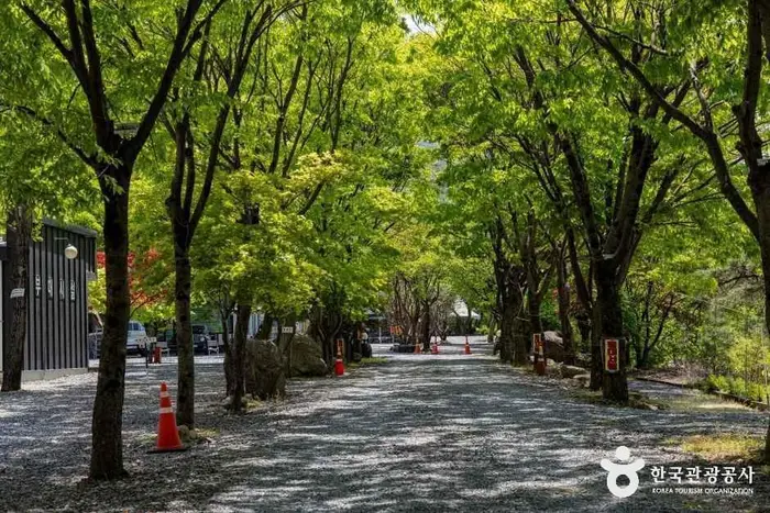 쌍곡예당 · 레포츠