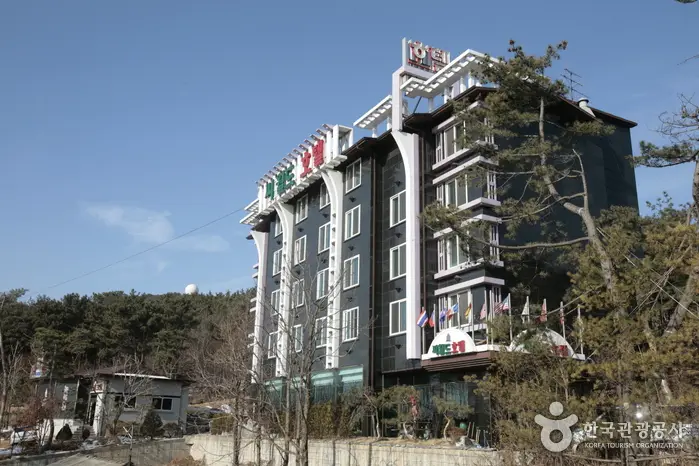 씨월드관광호텔 · 숙박