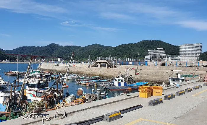 궁농항 · 관광지