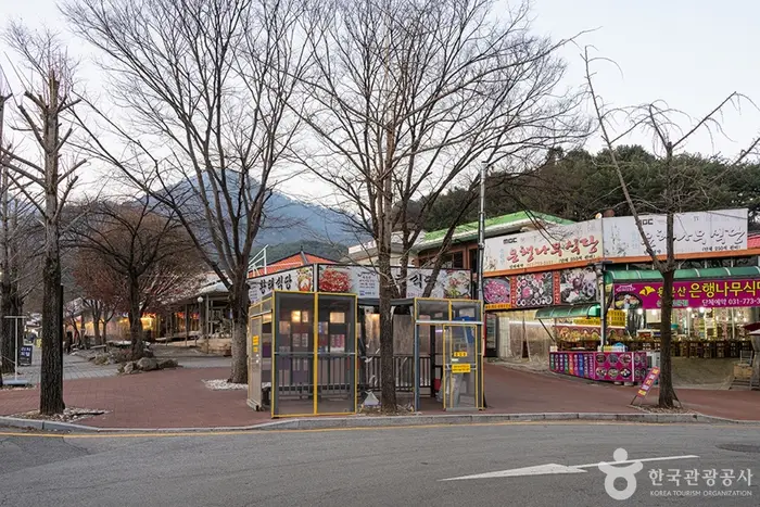 용문산 토속음식마을 · 관광지