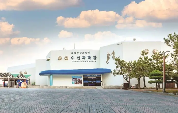 국립수산과학관 · 문화시설