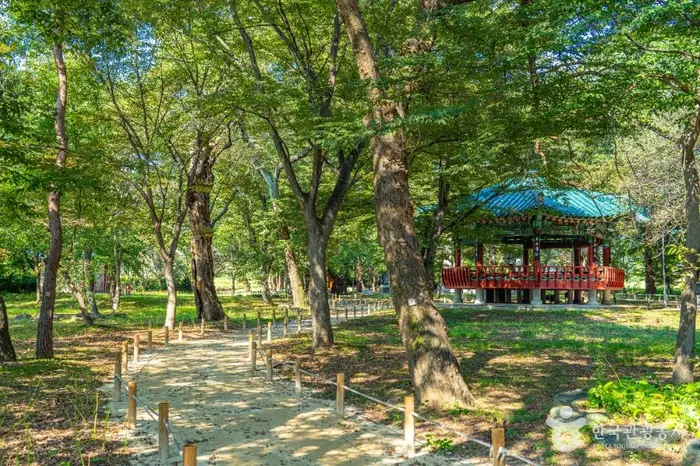 악양 취간림 · 관광지