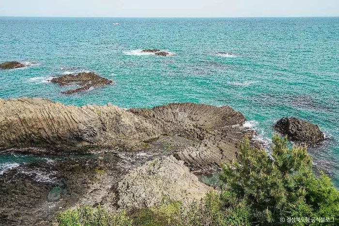 경주 양남 주상절리군 · 관광지