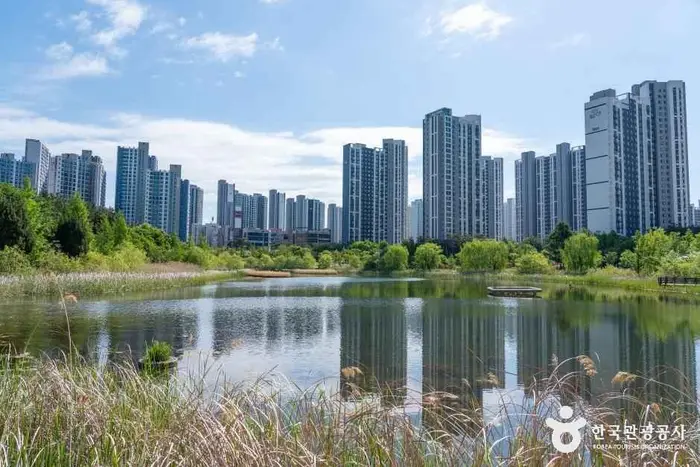 세병호 · 관광지