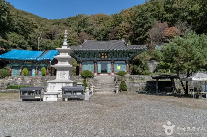백련사(용인) · 관광지