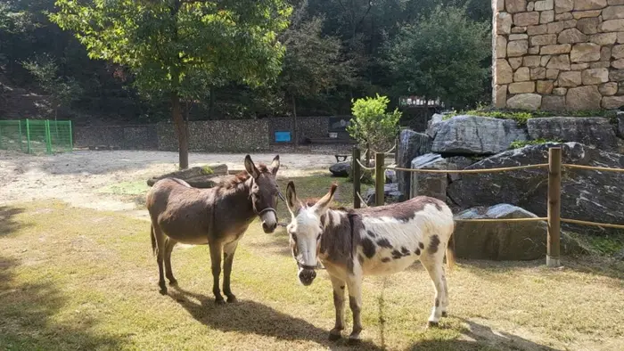 동키스타즈 · 관광지