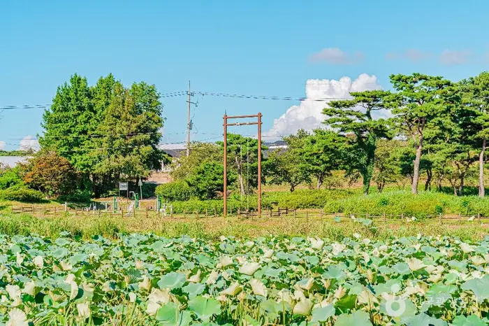 달맞이공원 · 관광지
