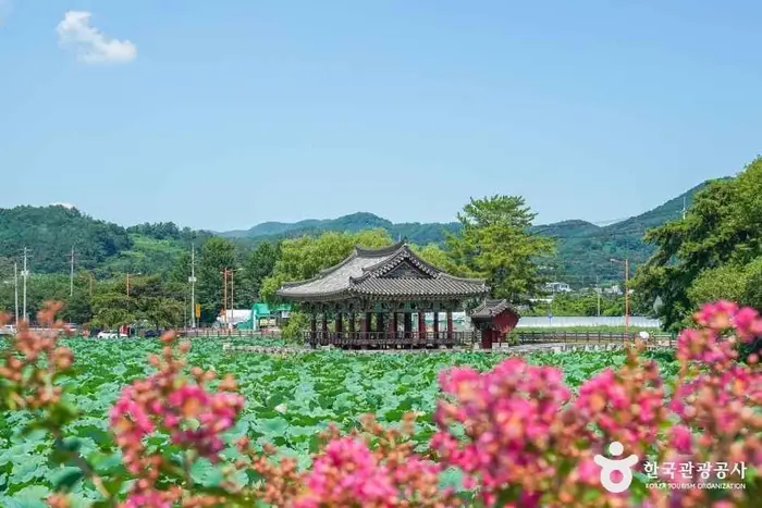 유등연지 · 관광지
