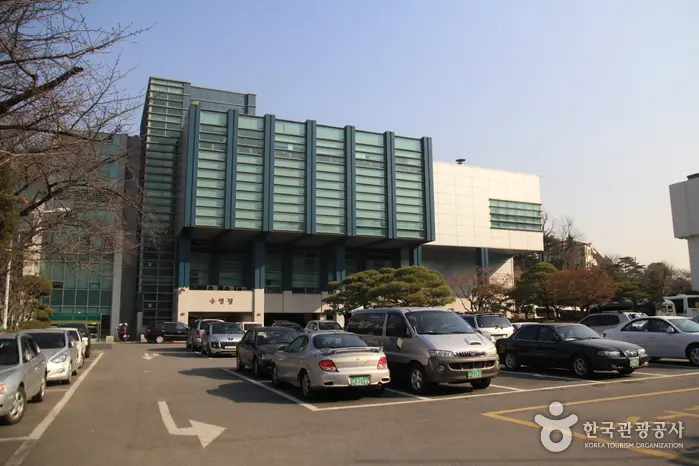 정립회관 수영센터 · 레포츠