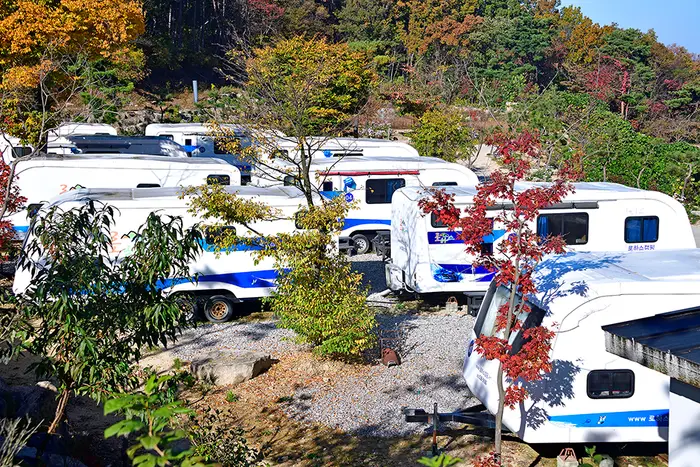 로하스캠핑장 · 레포츠
